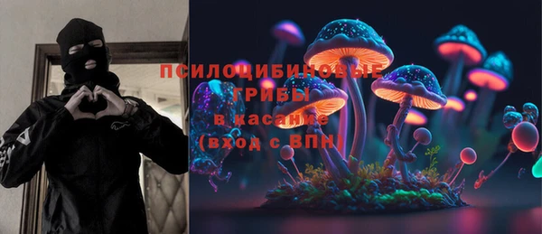 мет Алексин