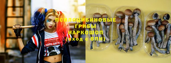 дживик Алексеевка