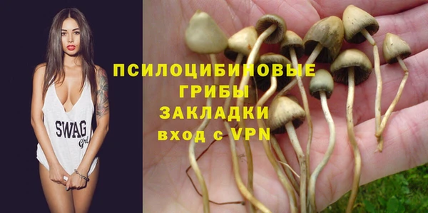 мет Алексин